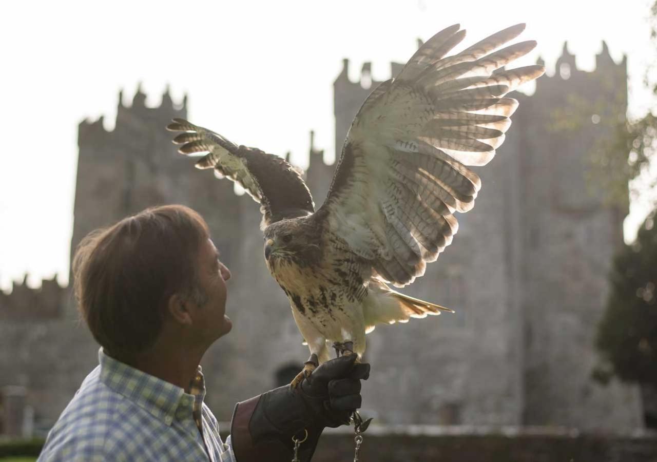 Kilkea Castle Hotel Luaran gambar